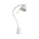 Lampe LED Hepta 7 watts lumière vive et blanche de grande qualité - LED07651