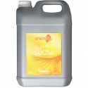 Nettoyant Désinfectant Anios'R Pour le sol Bidon de 5 l + Pompe 20 ml - 2113715