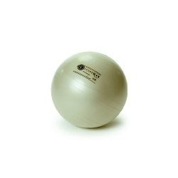 BALLON GYMNASTIQUE SWISS BALL SECUREMAX 65Cm Gris-2282