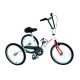 Tricycle Tonicross Plus Simplicité et rapidité de pliage - TPU10