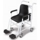 Fauteuil pèse-personne Kern MCC Dim  L 625 x P990 x H 9350 mm  Ecran LCD - EKMCC01_CIII